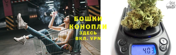 дурь Покачи