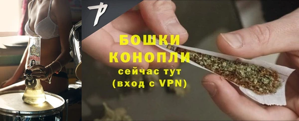 дурь Покачи