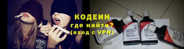 дурь Покачи