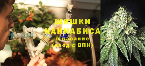 дурь Покачи