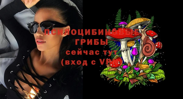 дурь Покачи