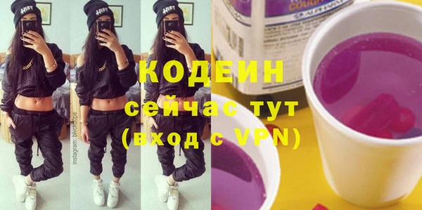 дурь Покачи