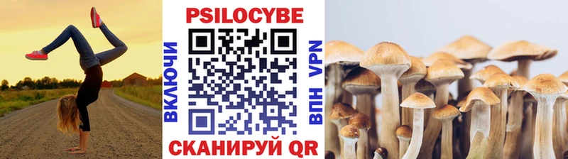 MEGA как войти  Разумное  Псилоцибиновые грибы MAGIC MUSHROOMS 